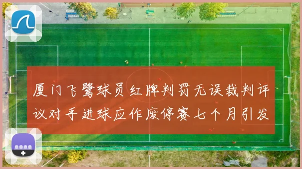 厦门飞鹭球员红牌判罚无误裁判评议对手进球应作废停赛七个月引发热议