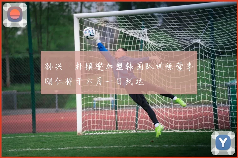 孙兴慜朴镇燮加盟韩国队训练营李刚仁将于六月一日到达